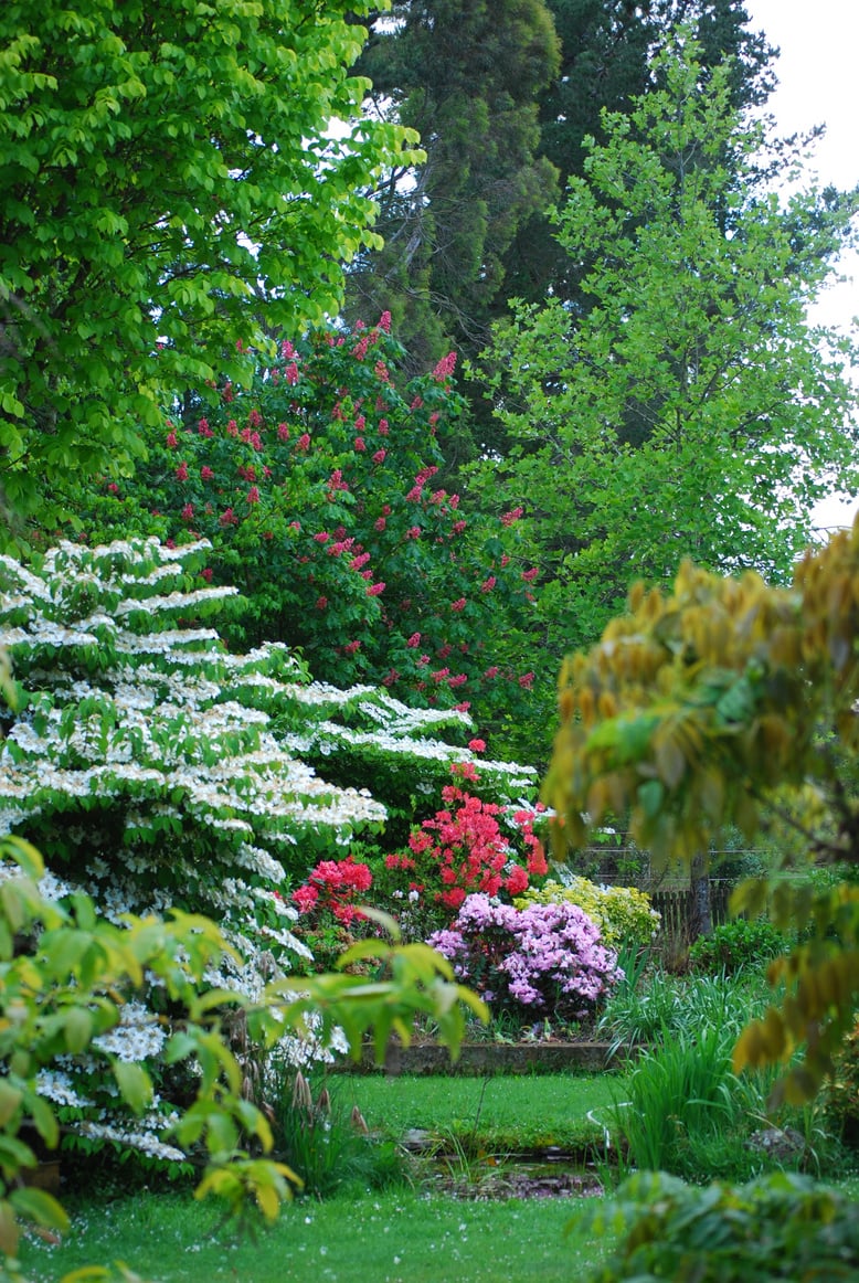 Flowers in a Garden